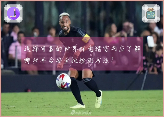 选择可靠的世界杯竞猜官网应了解哪些平台安全性检测方法？