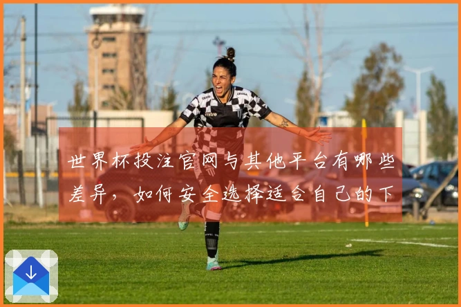 世界杯投注官网与其他平台有哪些差异，如何安全选择适合自己的下注方式