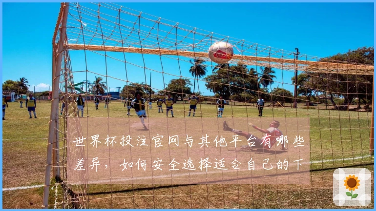 世界杯投注官网与其他平台有哪些差异，如何安全选择适合自己的下注方式