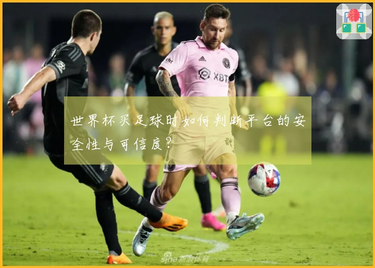 世界杯买足球时如何判断平台的安全性与可信度？